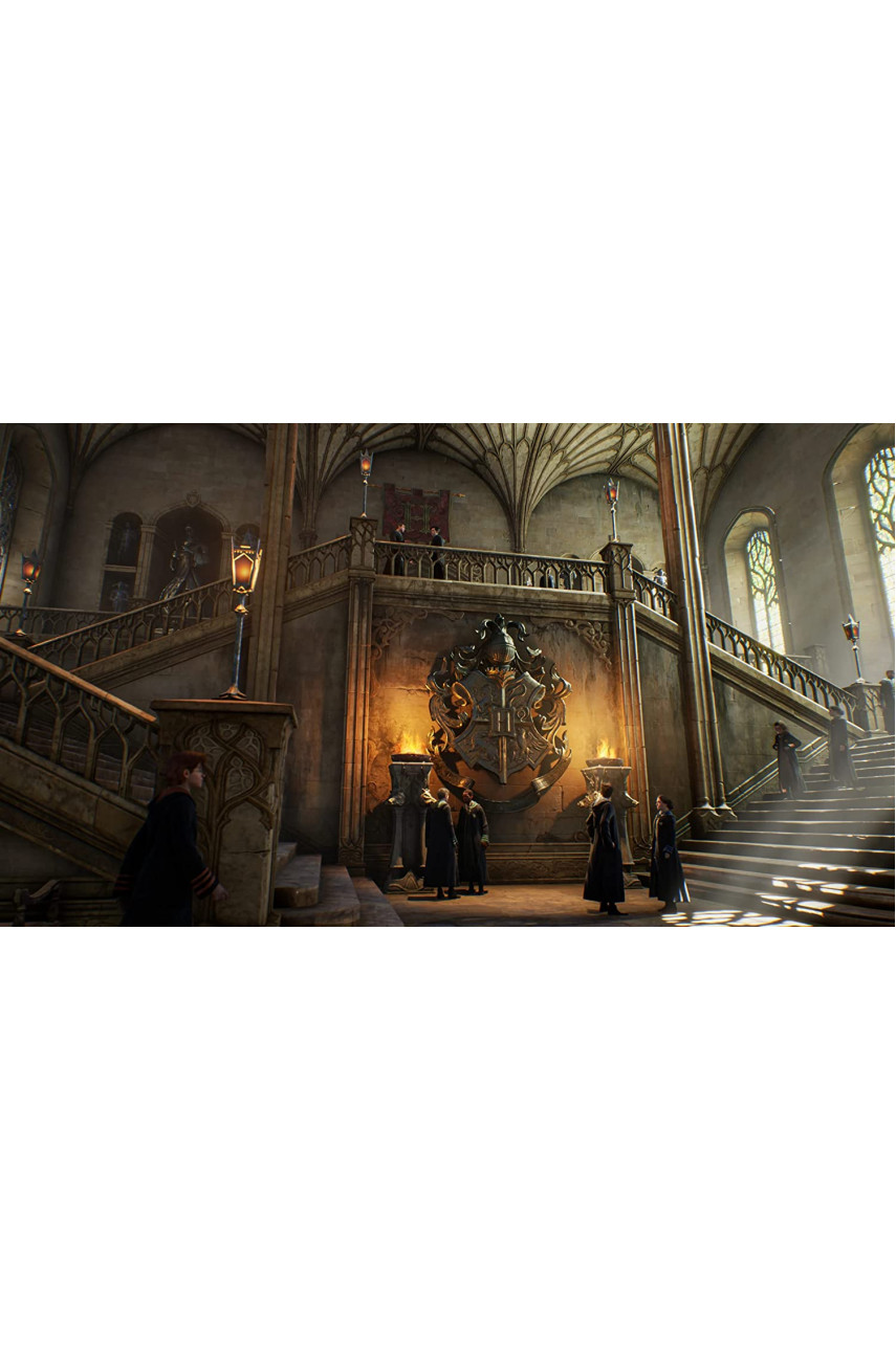 Hogwarts Legacy [PS5, русские субтитры]