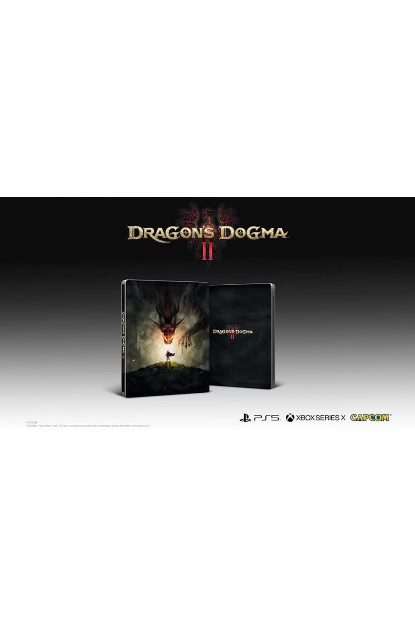 Dragons Dogma II Steel Book Edition [PS5, русские субтитры]