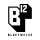 BlueTwelve Studio